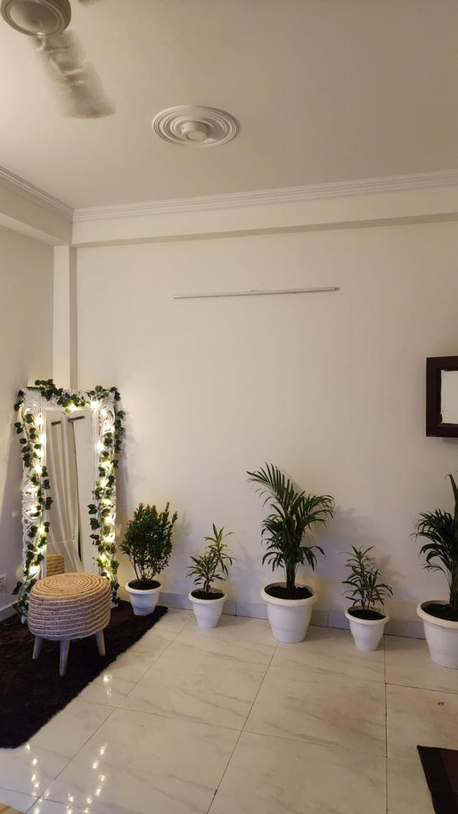 Apartment The Cozy Canopy